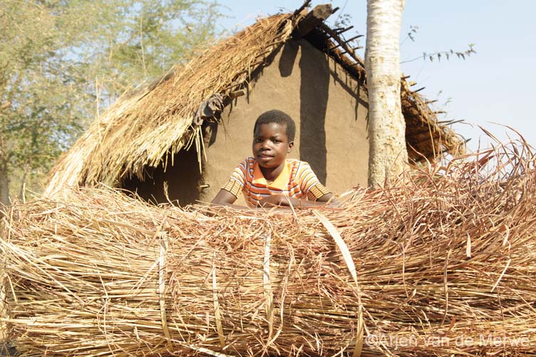 roofing material